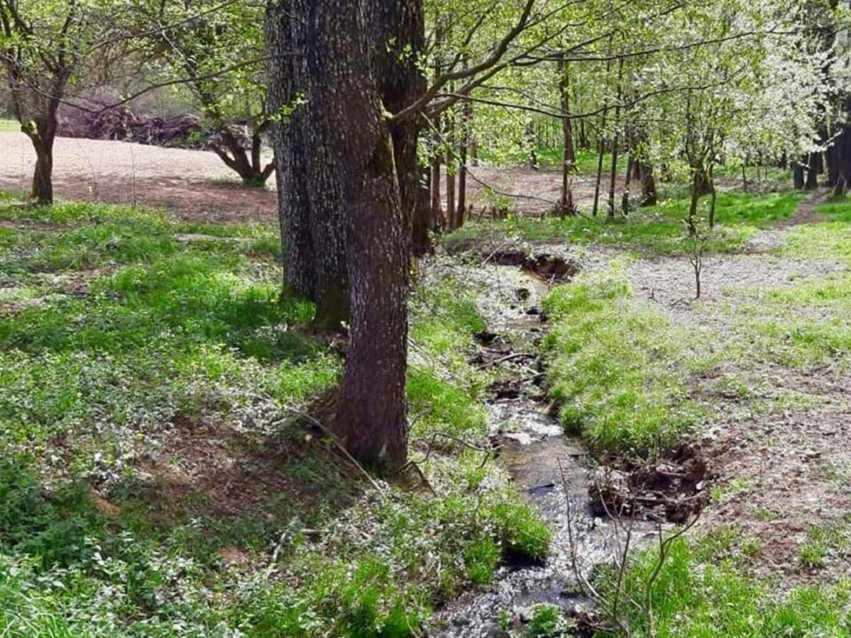 Steinbuehler Hof - Stressfrei Am Lande Hotel Bad Koetzting Bagian luar foto