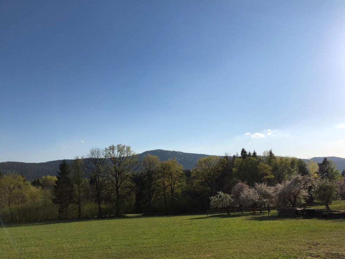 Steinbuehler Hof - Stressfrei Am Lande Hotel Bad Koetzting Bagian luar foto