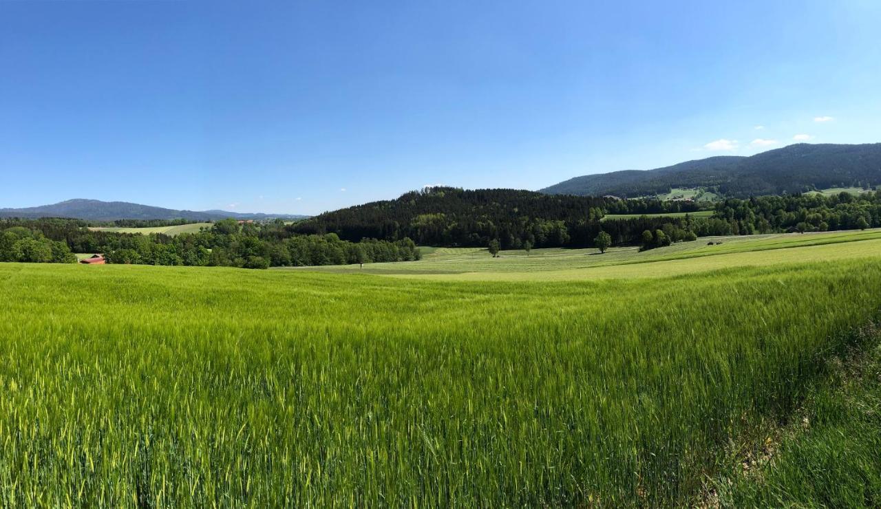 Steinbuehler Hof - Stressfrei Am Lande Hotel Bad Koetzting Bagian luar foto